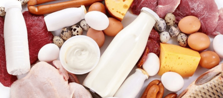 Dieta de proteínas Ducan